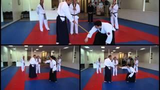 2012 Shin Ho Kwan & Aikido Kokikai of Rochester - 12 Hour Class