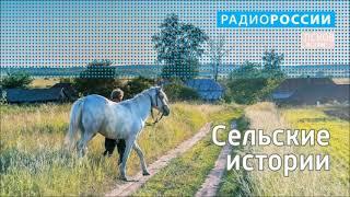 Сельские истории. Рубилово. Выпуск 20.12.2021