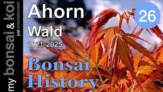 Bonsai 2025 10 Bonsai History Episode 26 Maple my most beautiful forest