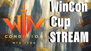 Большой Стандарт - WIN CON CUP - кубок от WinCondition