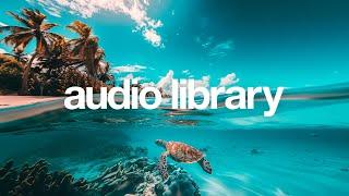 Turtle – Lichu (No Copyright Music)