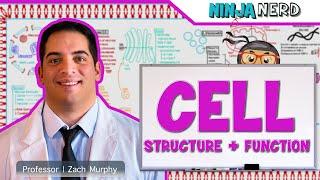 Cell Biology | Cell Structure & Function