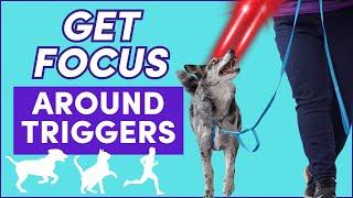 The BEST FIX for REACTIVE, Nervous & DISTRACTED Dogs! (Engage/Disengage for Neutrality)