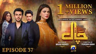 Chaal Episode 37 - [Eng Sub] - Ali Ansari - Zubab Rana - Arez Ahmed - 7th July 2024 - HAR PAL GEO