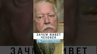 СМЫСЛ ЖИЗНИ ️ #православие #христианство #проповедь Отец Дмитрий Смирнов