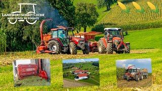 Maisernte 2024 Lets Go...!! | Maishäckseln mit 2 Reiher | Case IH | Lindner Lintrac | Steyr | 4K