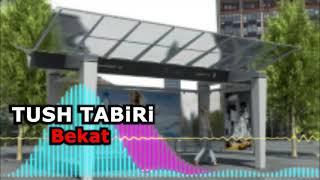 Bekat tushda tush tabiri - Бекат тушда курса туш табири - Tushda bekat korsa