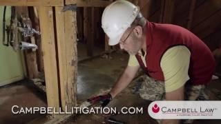 The Basics of a Termite Inspection