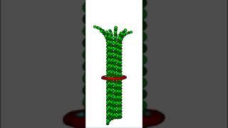 Simulation of Dam1/Dash complex freely diffusing along a depolymerizing microtubule