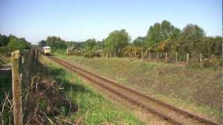 reggies train gallery  475976 ALDEBURGH FESTIVAL.mpg