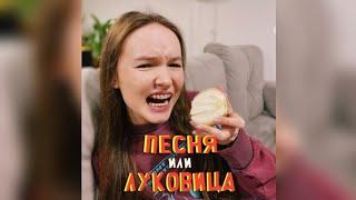 Песня или Лук /// Арина Данилова и её семья!!!