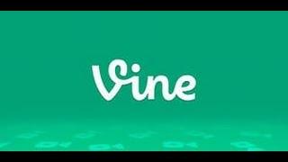 Vine #1 |Решил установиить шейдеры... | Leater