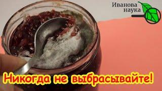 ПЛЕСЕНЬ НА ПРОДУКТАХ: ОПАСНАЯ, БЕЗОПАСНАЯ и ПОЛЕЗНАЯ. Какую плесень надо бояться.