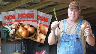 How To Grow Onions From Seed