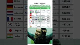 Top 10 Biggest Companies by Country in 2025 