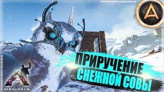 ARK EXTINCTION #12 | ПРИРУЧЕНИЕ СНЕЖНОЙ СОВЫ В АРК | snow owl  | арк сурвайвал эволв