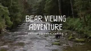 Bear Viewing Adventure in British Columbia, Canada