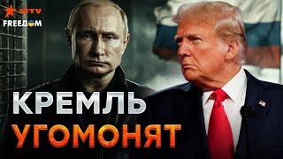 СРОЧНО из США! Трамп ЗАМАНИЛ Путина В КЛЕТКУ  ПЕРЕГОВОРЫ уже СКОРО? | @dwrussian