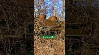 Abandoned 1920s Train In The Woods #train #abandoned #roadside #olddays #antique