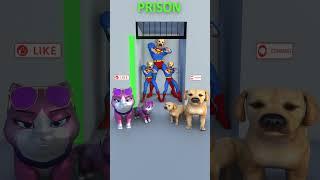 Can you help the superhero dog escape from prison? #funny #dog #cat #shortvideo