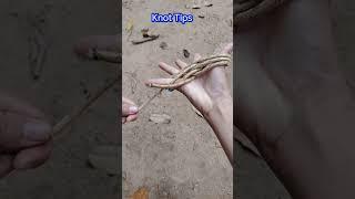 Amazing Coiling Knot Easy Release #practical #ropework #ropetutorial #knottutorial