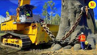 Extreme Dangerous Fastest Big Chainsaw Cutting Tree Machines | Monster Stump Removal Excavator ▶19