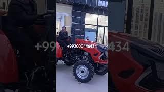 Wolong 804 mini agroteh