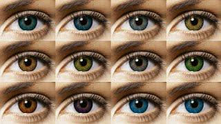 Freshlook Colorblends All 12 Colors Contact Lens Review