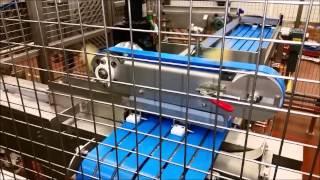 Distributing and batching dry sausages | Velec Systems  