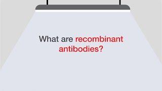 Introduction to Recombinant Antibodies