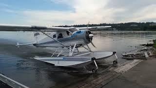 DeHavilland Beaver Seaplane Amphibian Driving Up a Seaplane Ramp