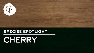 Quartered Cherry Wood Veneer | Species Feature