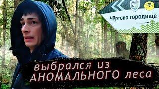 Проверили на себе Аномальный лес ► «Чёртово Городище» ЧЕЛЛЕНДЖ