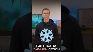 Топ ниш на зимний сезон ( часть 1 )  #бизнес #avitolog #avitoмагазин #авито #avito