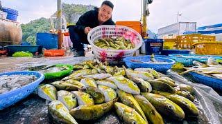 DEADLY FISH DISH - Catching and Cooking Pufferfish - Would You Dare to Try It? | SAPA TV