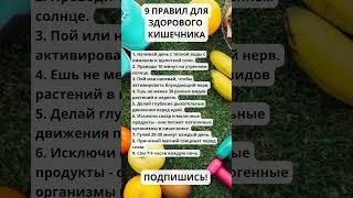 9 правил для здорового кишечника #правильноепитание #пп