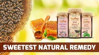 Trueney | Natural honey | Nature's Box | 100% pure honey | Immunity booster | Free from additives