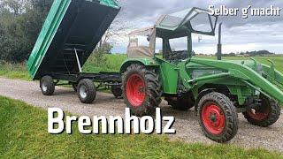 REISCH | Brennholz | Kippen | Einparken Millimeterarbeit