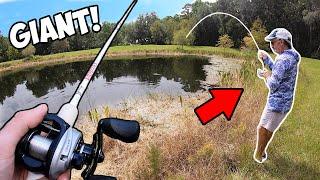 Fishing a TROPHY pond for MONSTER BASS!!! (EPIC)