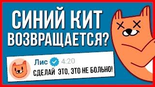 СТИКЕРЫ ЛИС УБИВАЮТ? МНЕ УГРОЖАЕТ ЛИС! СИНИЙ КИТ ВОЗВРАЩАЕТСЯ