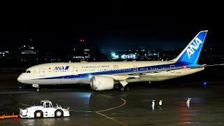 "TOMODACHI" ANA (All Nippon Airways) Boeing 787-8 Dreamliner JA812A