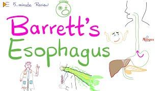 Barrett's Esophagus | 5-Minute Review - Intestinal Metaplasia - Gastroenterology