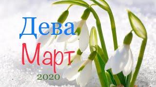 Девы ️ Таро-прогноз на Март 2020 года 