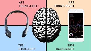 Exploring Brainwaves and Brain Quadrants with Muse Headband + Mind Monitor