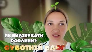 Vlog 28.09.24 Пересаджую квіти. Суботній день. Я припинила готувати чоловіку смачну їжу