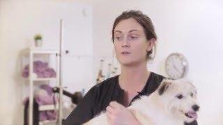 Vanity Fur Prefurred Clients