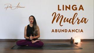 Linga Mudra- abundancia