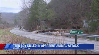 Kentucky teen dies in apparent animal attack