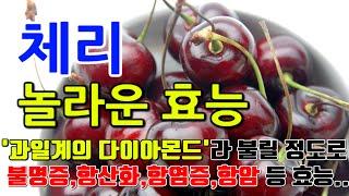 체리의 놀라운 효능 7가지 & 부작용 / "하루 한 줌의 행복, 항산화물이 가득한 과일"