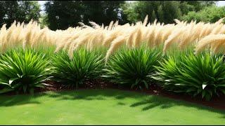 Growing and Caring for Pampas Grass: 10 Steps from Planting to Winter Pruning